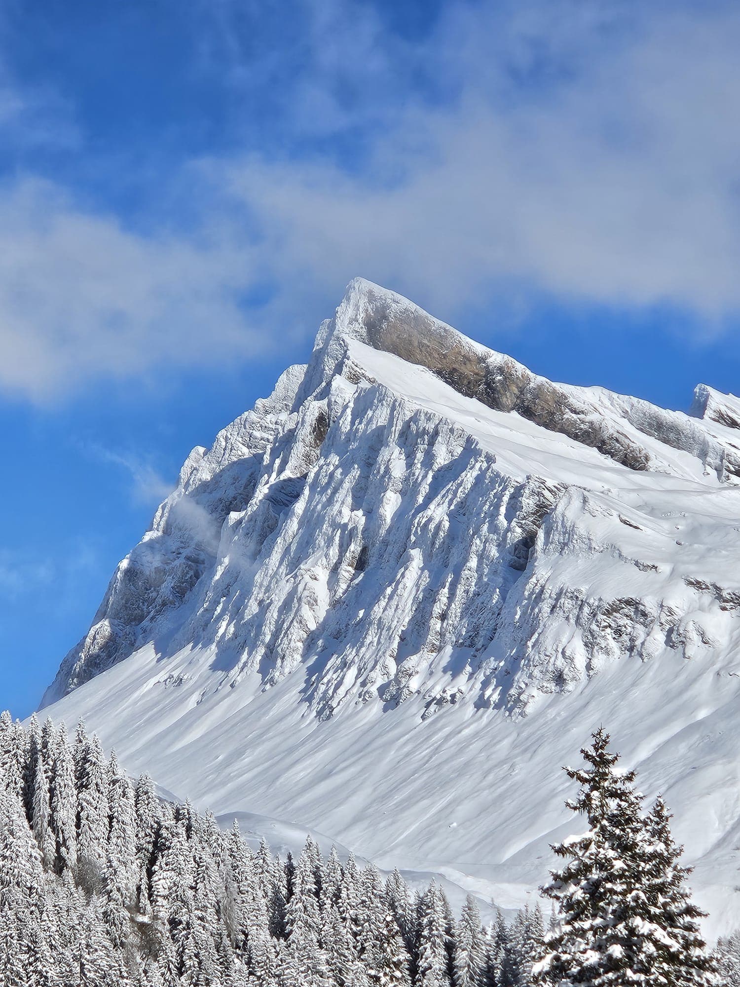 Tourentage San Bernardino